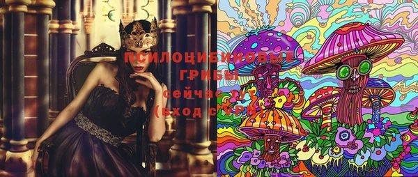 мдпв Струнино